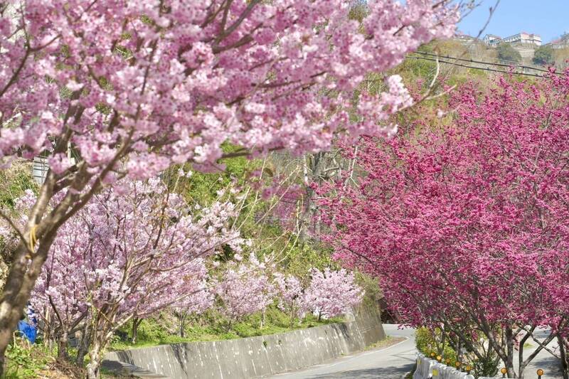 12星座「4月運勢榜」揭曉 ！ 前3強「事業、財庫、桃花」全贏