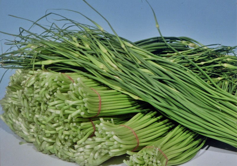 南北風味有差別！青蒜怎麼料理才對味？