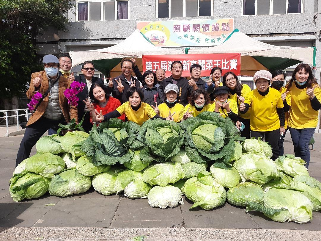 巨無霸「高麗菜王」是他！澎湖烏崁種高麗菜一顆重達20台斤