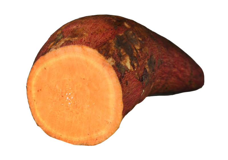 「紅番薯」的圖片搜尋結果