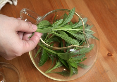 取一個約兩人份的茶壺，將薰衣草及甜菊葉輕輕放進壺中。
