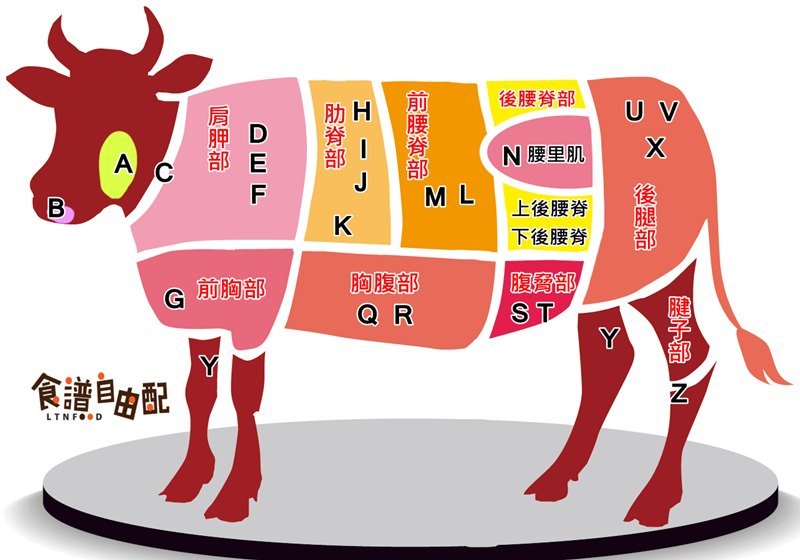 圖解 一張圖看懂牛肉各部位 料理秘訣一併學會 食譜自由配 自由電子報