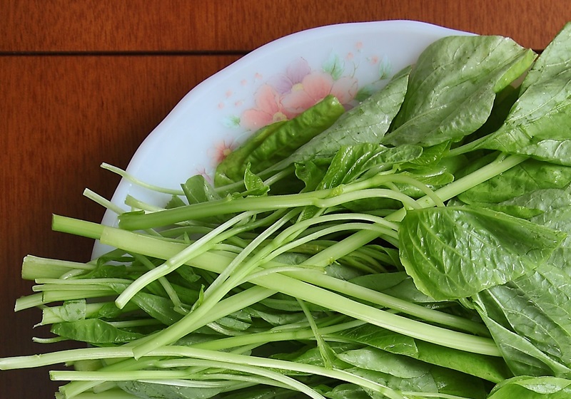 營養更勝菠菜！當季莧菜這樣料理最好吃