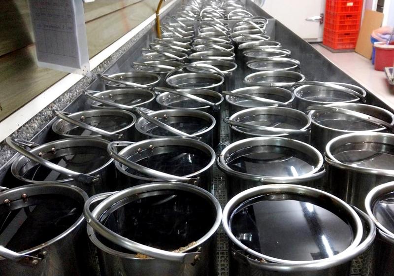 將存放超過１年的仙草放入清水中熬煮4～8小時。熬煮過後再過濾，即成為仙草茶原汁，或是加入地瓜粉或樹薯粉進行勾芡，製作成仙草凍。