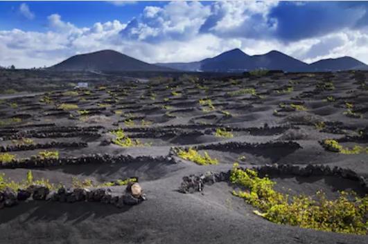 「火山酒」是什麼？和一般的葡萄酒差在哪？