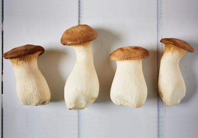 杏鮑菇挑買有分等級？料理前一步驟讓口感更彈牙入味