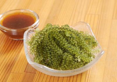 沖繩必吃的海葡萄是什麼？挑選、料理、保存一篇看懂！