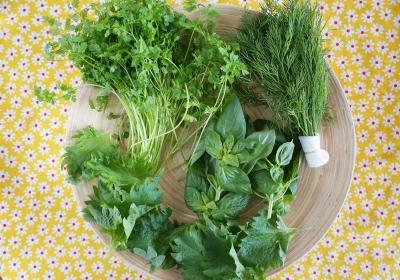 【圖解】認識西餐常用 9 種香草，風味、用途一次搞懂！