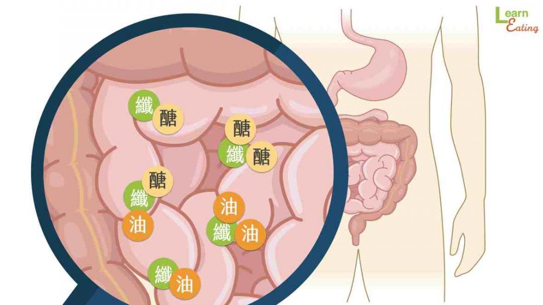 年菜滿滿肥胖地雷？營養師教戰：記住「這 2 招」過年越吃越瘦