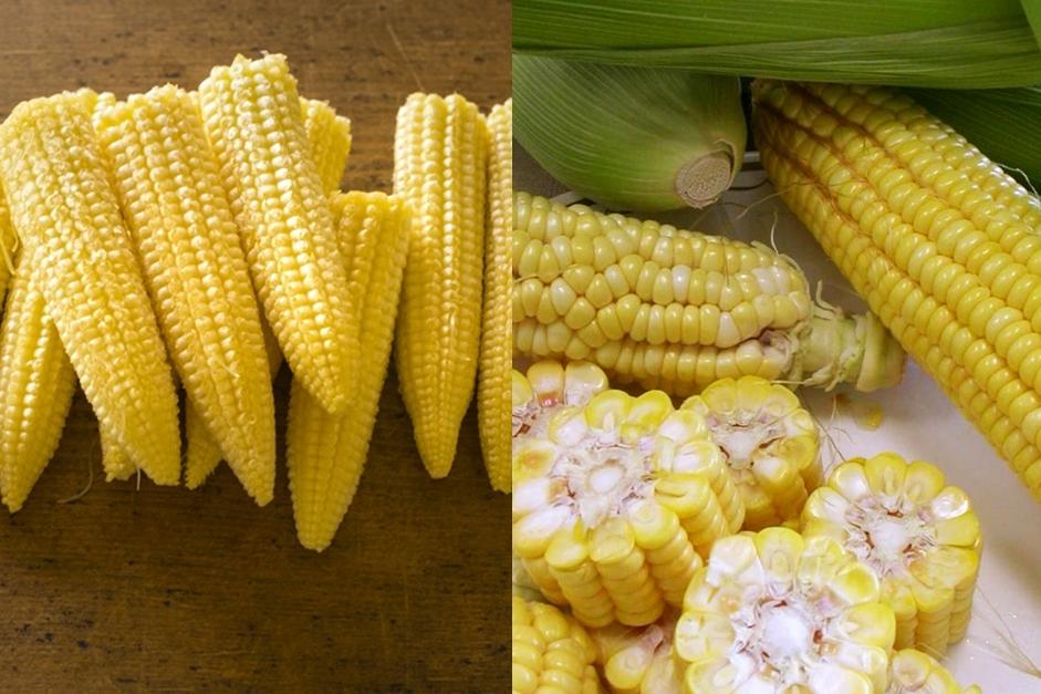 玉米＆玉米筍誰是「偽蔬菜」？補充葉黃素、減重別吃錯！