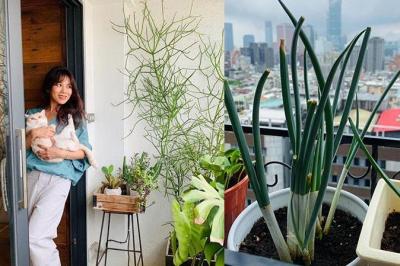 自己的菜自己種！藝人都在瘋「陽台蔬菜」達人傳授 0 失敗秘訣 