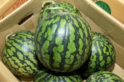 西瓜切開竟「完全沒果肉」！網友分享新吃法：當配菜吧