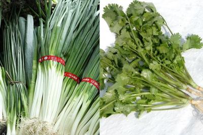 青蔥、香菜難保存？達人教「超強秘技」：保鮮綠又留住香氣！