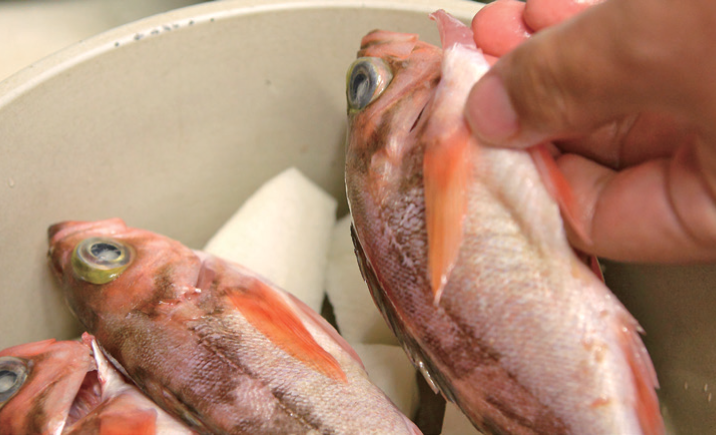 最後，各部分的魚鰭都會產生魚腥味，所以用剪刀剪掉。