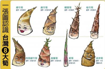 一張圖認識台灣８大筍！挑竹筍看身材、煮涼筍４招不怕吃苦