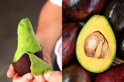 國產酪梨產季到！專家教 2 招快速挑選、辨別熟度