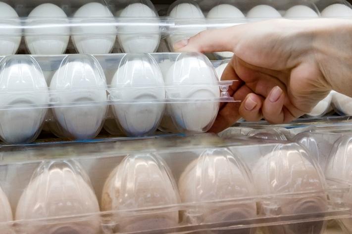 民眾聞「蛋」色變！專家籲冷靜：進口蛋、混蛋、液蛋都不是壞蛋