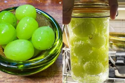 網友瘋傳「麝香葡萄新吃法」大讚：衝擊性美味！一瓶氣泡水就能做