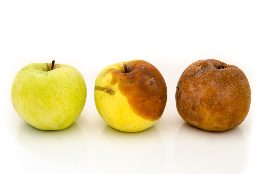 水果外皮發霉、軟爛變黑切掉了還能吃？專家教判斷３原則