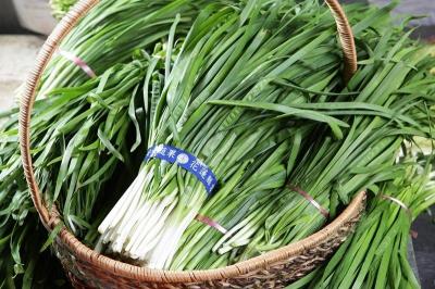 產季到！韭菜、韭黃、韭菜花一圖看懂差異＆營養價值