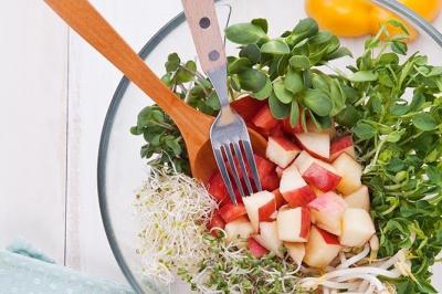 減醣飲食是什麼？不吃澱粉就可以嗎？專家點破飲食必備３觀念