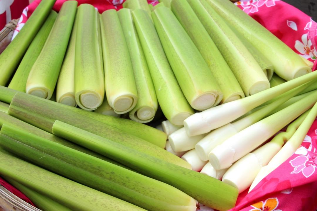 立夏習俗要吃蛋？再推嫩白鮮脆「美人腿」茭白筍不怕上火燥熱