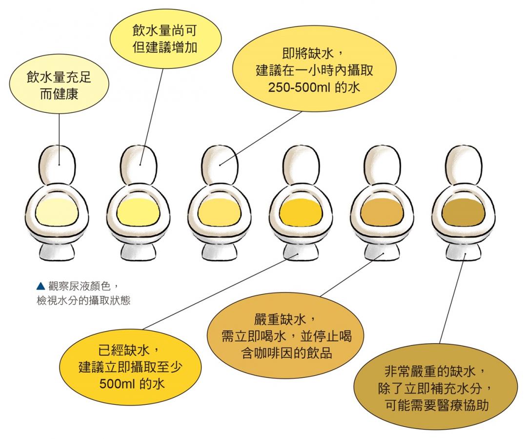 瓶裝水有保存期限「這狀況」沒過期也別喝！品水師曝飲水６迷思