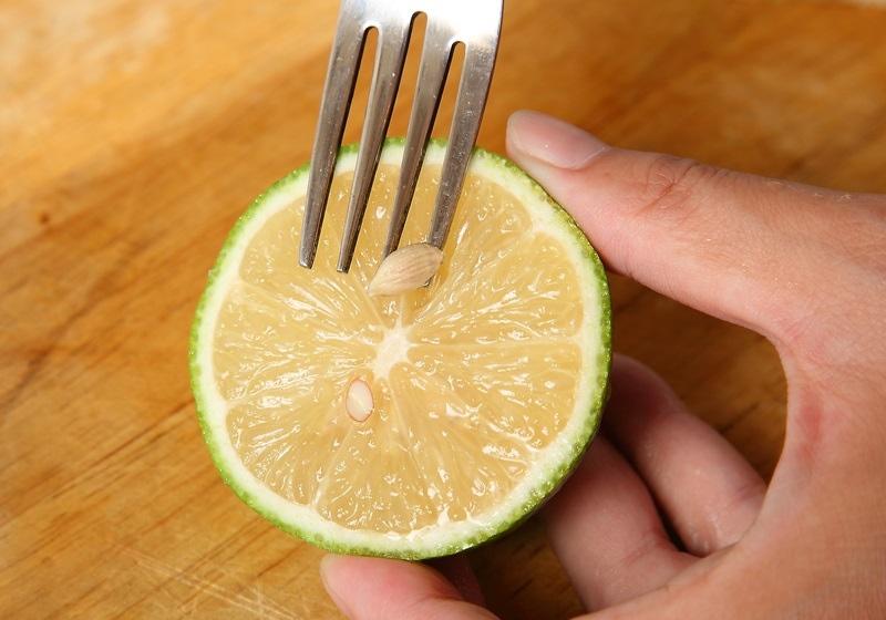 檸檬、萊姆差別先看「籽」！換個切法輕鬆擠出２倍檸檬汁