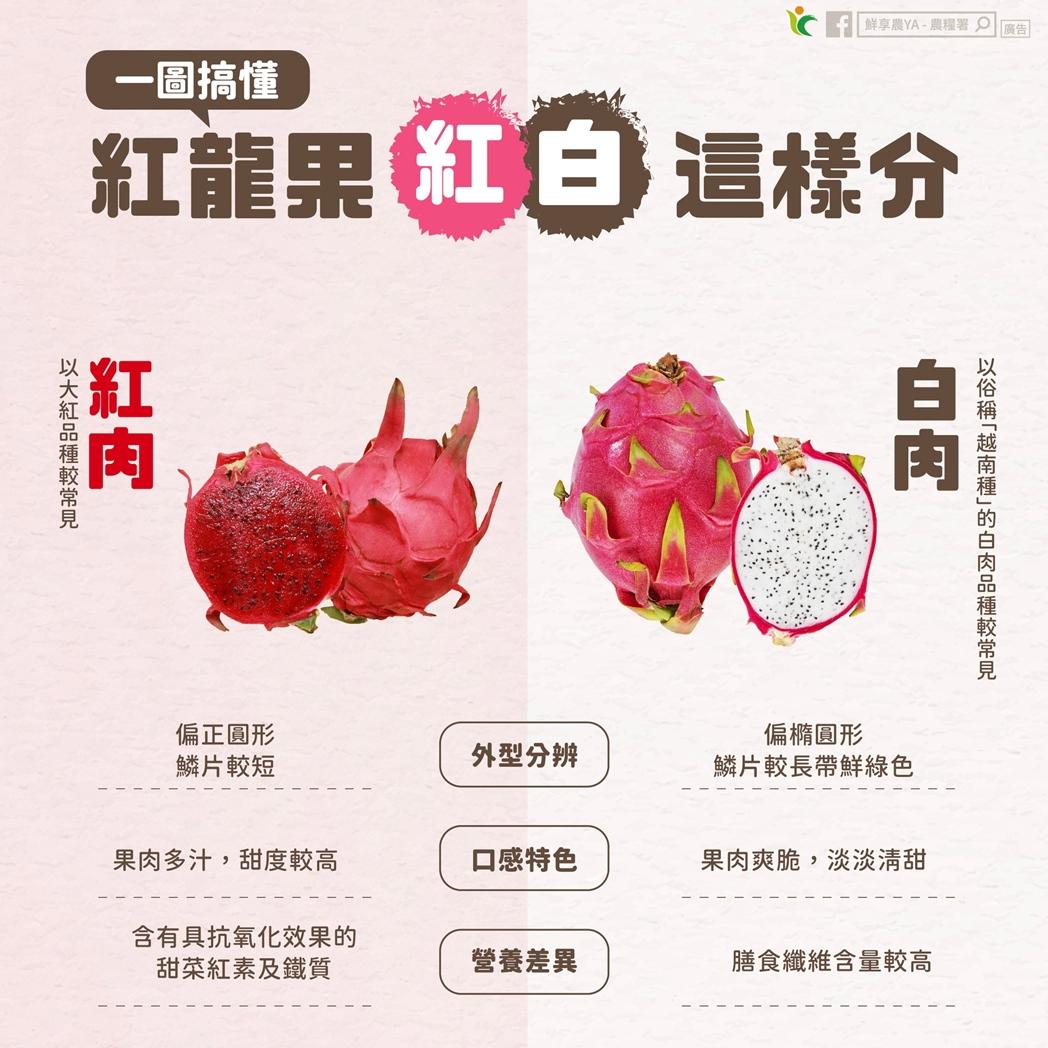 火龍果「紅肉or白肉」外觀怎麼分？補鐵質、預防便祕別選錯