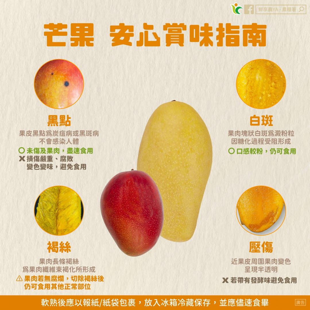 芒果有「黑點、白斑」可以吃嗎？專家給答案：３狀況恐致食物中毒