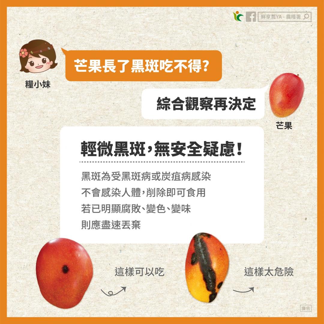 芒果有「黑點、白斑」可以吃嗎？專家給答案：３狀況恐致食物中毒