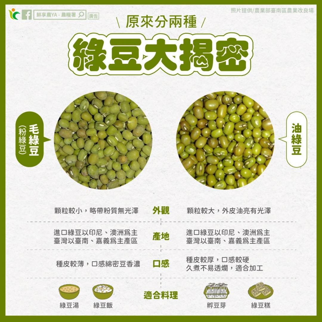 立秋養生食補就喝「綠豆湯」！挑對品種再學３煮法不怕久煮不爛
