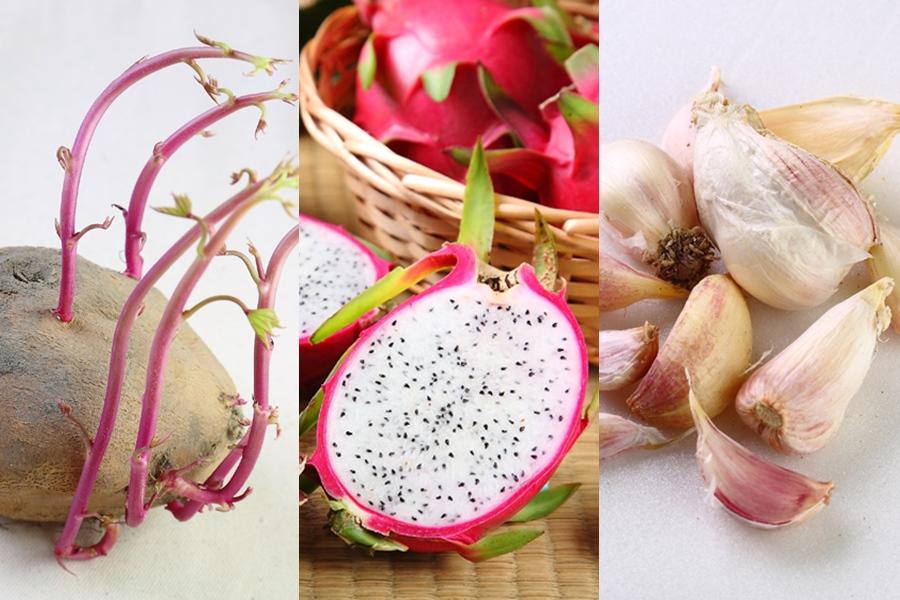 發芽能吃嗎？火龍果、馬鈴薯12種蔬果一次分辨：這5種營養更提升
