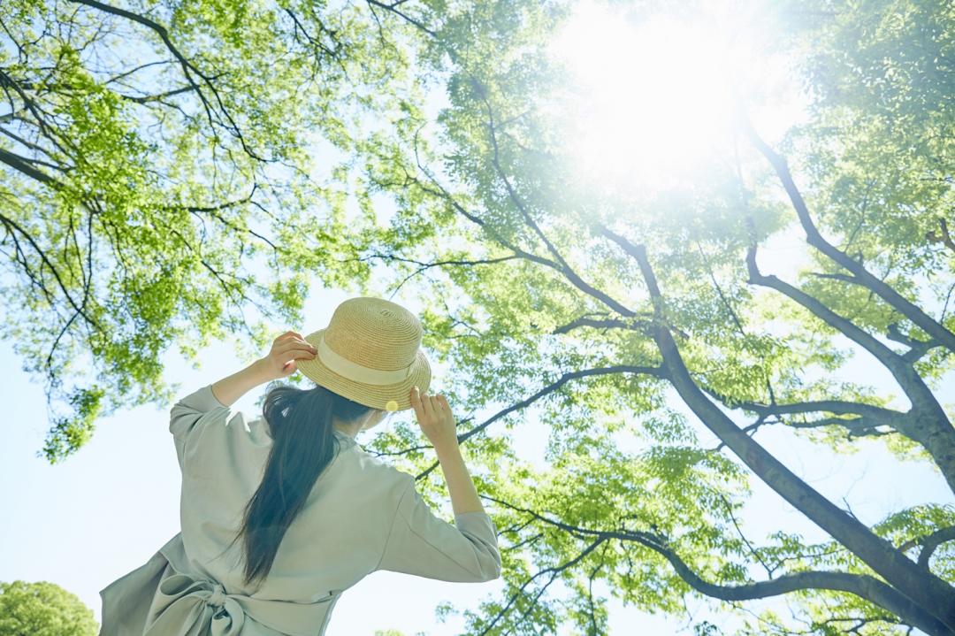 處暑撞鬼門開習俗要知道！普渡添龍氣必拜「龍眼」挑選保鮮一招學