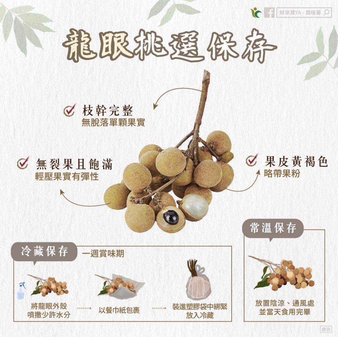 處暑撞鬼門開習俗要知道！普渡添龍氣必拜「龍眼」挑選保鮮一招學