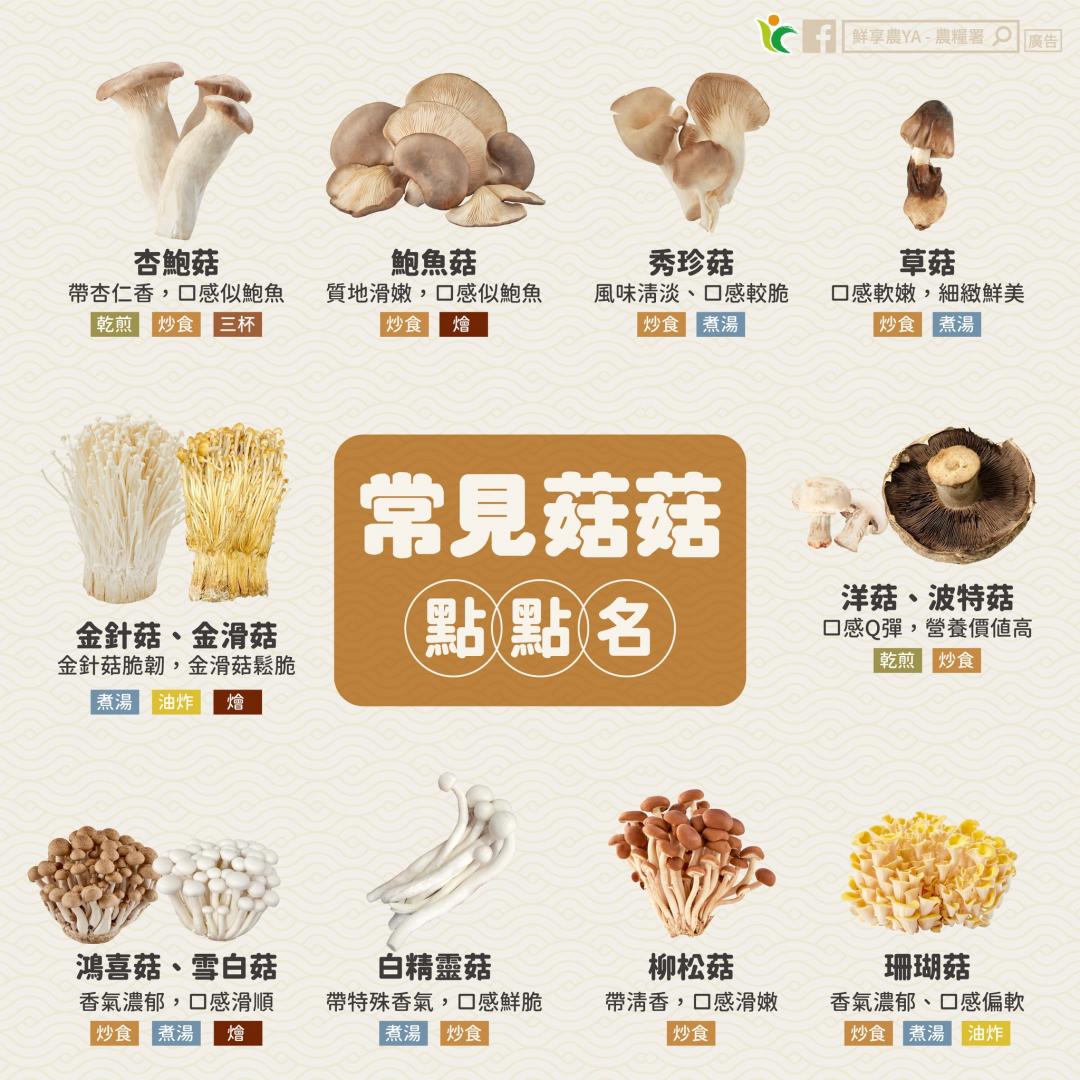 「菇菇料理圖鑑」口感像鮑魚、蔬食界牛排！13種高纖美味一次看