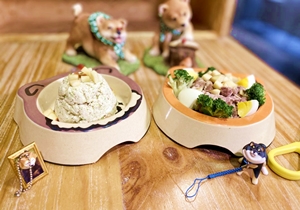 寵愛毛孩！寵物食譜