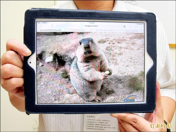 染「肺鼠疫」死亡 中國出現今年首例
