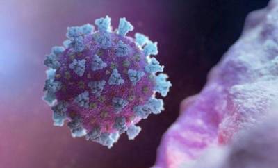 健康網》研究：Omicron超強與「3奈米」有關  醫稱變種界台積電