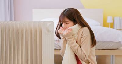 健康網》春節恐與寒冷共度 醫師7招助你健康過年