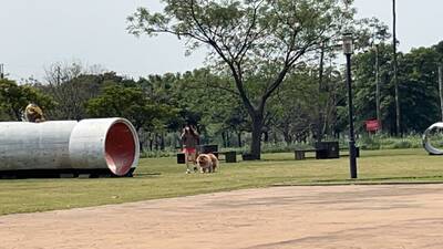 中大醫院先求有！ 規劃設置99床 醫養合一為主