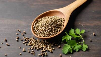 健康網》香菜籽竟能入酒！ 還化身成中藥材用在「這情況」