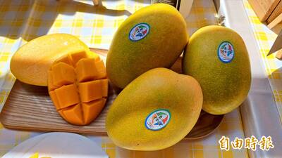 健康網》芒果盛產季！ 農糧署公開國民水果身世之謎