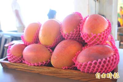 健康網》夏季芒果挑選3技巧  農業部：有這情況快食用