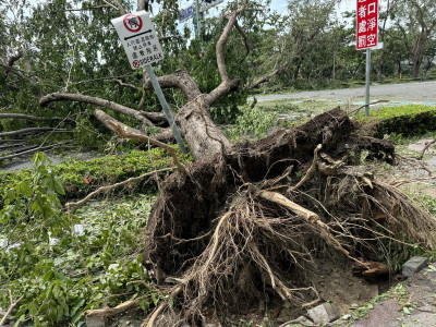 高雄本土類鼻疽+3 境外移入登革熱+1