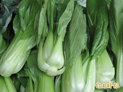 健康網》它們也是白菜！ 農糧署介紹9種不結球白菜