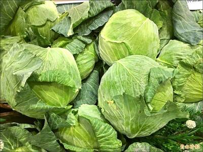 健康網》火鍋加菜你pick誰？ 農糧署推6食物 「它」是靈魂