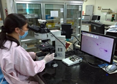 36歲男口乾口臭精蟲品質差 中醫調體質助當爸