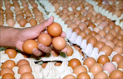 健康網》染H5N1禽流感 美老翁首例死亡 加國少女重症康復