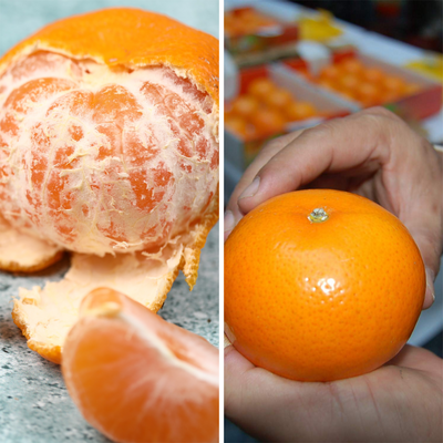 健康網》茂谷柑皮薄爆汁 農糧署：這樣剝手不濕答答